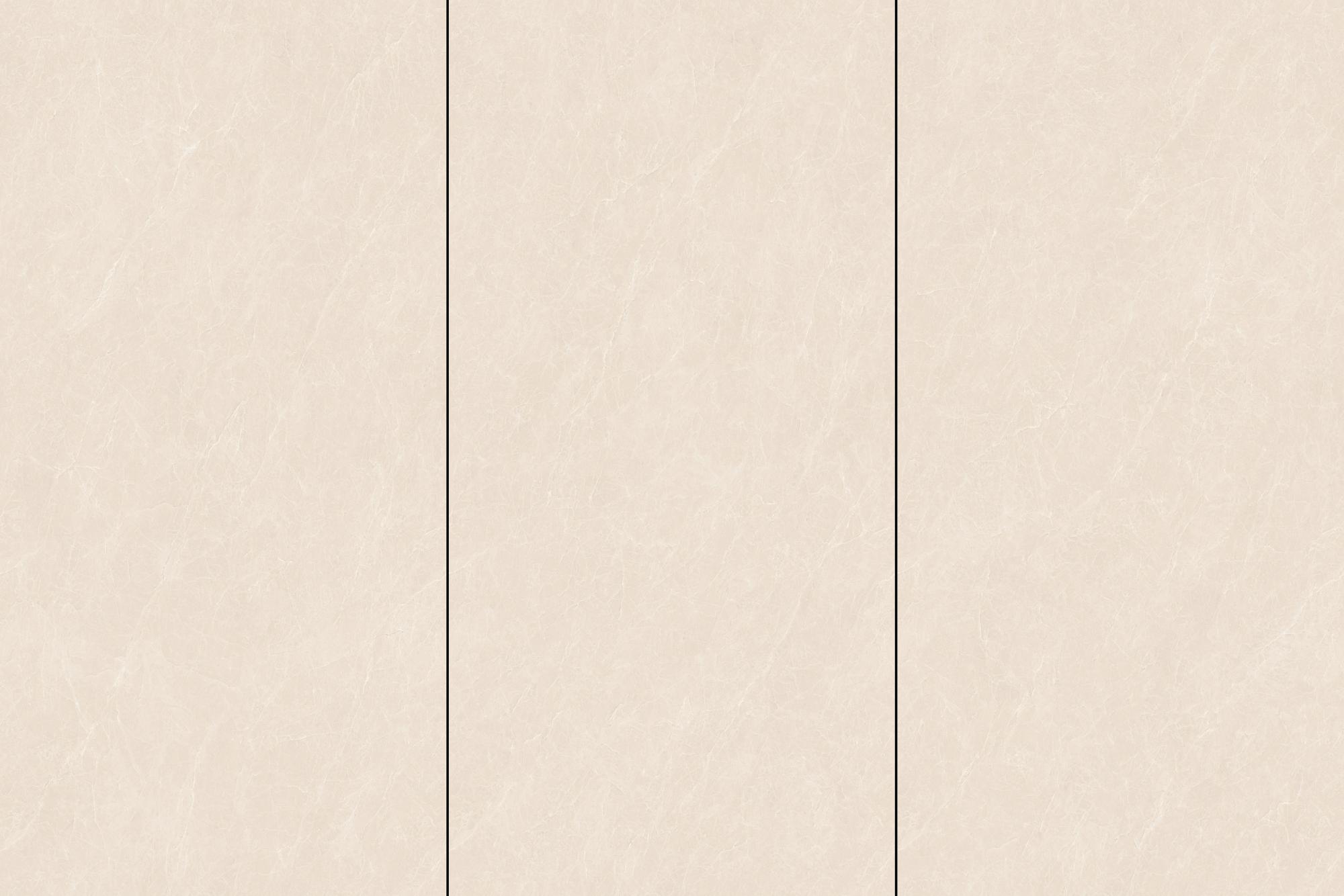 白玉兰3.jpg